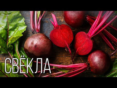 Видео: Свекла: Полезнейший овощ | Интересные факты про свеклу