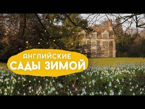 Видео: Поместье Angelsey Abbey, подснежники и зимний сад.