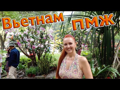 Видео: 💖ПЕРЕЕЗД, Отдых ВЬЕТНАМ - ПМЖ во Вьетнаме как мы это сделали Люда Изи Кук экспаты Нячанг Вьетнам