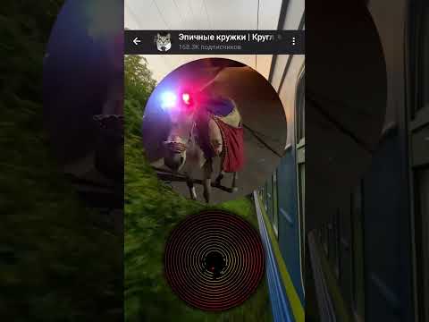 Видео: Осёл-ДПСник 😂 #дпс #осёл