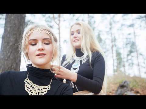 Видео: Лица друзей , сл и муз.Юрий Мальцев,исп. автор.