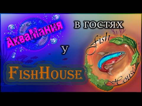 Видео: FishHouse лучший зоомагазин Санкт-Петербурга