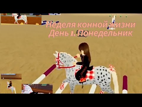 Видео: Неделя конной жизни. День 1, понедельник❤️😉 Новая лошадь⁉️