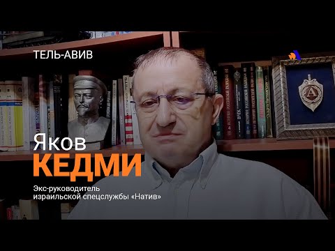 Видео: Армянский народ сформировался за тысячу лет до слова «Азербайджан» — Яков Кедми