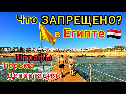 Видео: Египет 🇪🇬 ЗАПРЕТЫ на отдыхе в Египте. Что НЕЛЬЗЯ ДЕЛАТЬ на египетских курортах. Какие ПРОБЛЕМЫ?