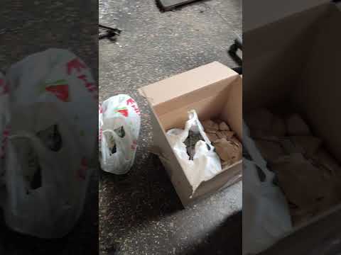 Видео: Предлагаем работу
