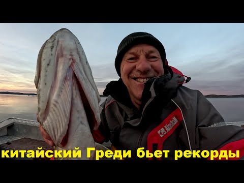 Видео: Китайский Greedy-Guts бьет рекорды. Роль точности заброса. Джерк.
