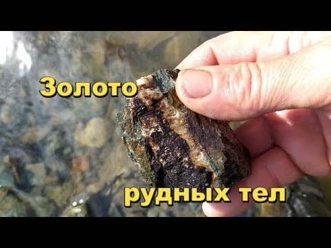 Видео: Золото рудных тел.