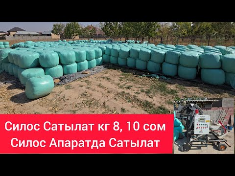 Видео: Силос Сатылат кг 8-сом, 10-сом  Силос Апаратда сатылат тел:0555160569