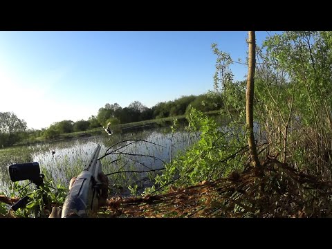 Видео: ПРИПЛЫЛ НА 2 МЕТРА. Хорошая утрянка 1 мая 24г. МР-155. Охота на уток