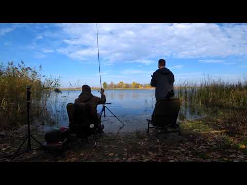 Видео: ДРАКОНИ атакують! Осінній фідер продовжує дивувати...#FishTrip #38