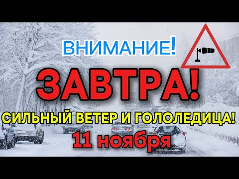 Видео: ⚠️ Погода в Казахстане 11 Ноября 2025: СРОЧНО! Новый Снегопад, Ветер и Мороз. Прогноз на Вторник
