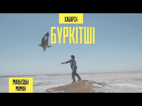 Видео: Жас бүркіттің алғашқы ұшуы | Маңызды маман