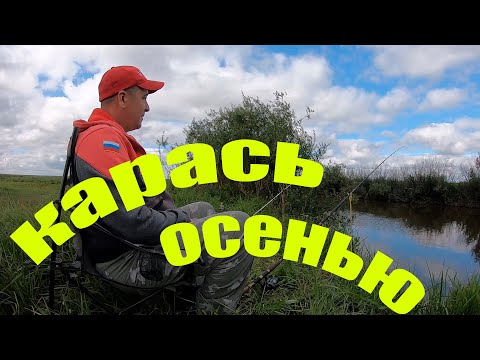 Видео: СМЕНИЛ МЕСТО И НАЧАЛ ЛОВИТЬ/РЫБАЛКА НА КАРАСЯ ОСЕНЬЮ