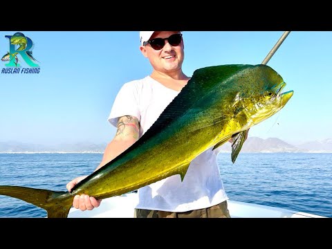 Видео: Любишь рыбалку ? Тогда тебе к нам !Рыбалка на Фуджейре