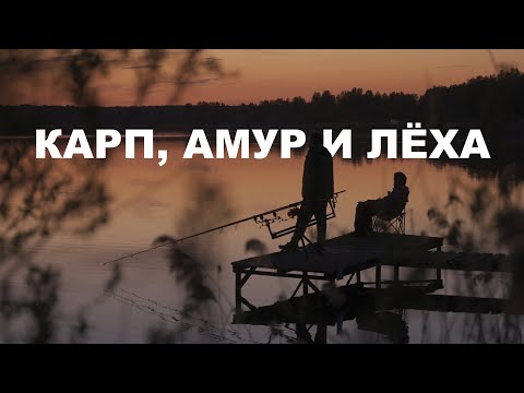 Видео: Карпфишинг в Генезисе. Такого клева мы не ожидали