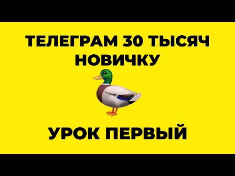 Видео: Как начать в Телеграм с нуля. Телеграм старт заработка.