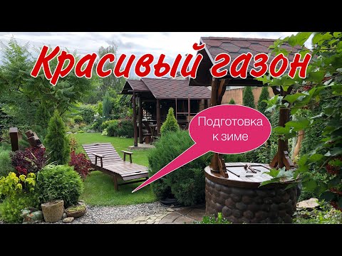 Видео: ГАЗОН. Подготовка к зиме. Основные работы#газонуход#газонстрижка#газонаэрация#газонподкормкаосенью