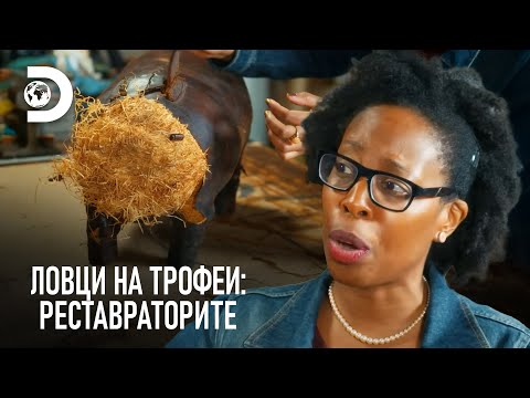 Видео: "Имаме много работа" | Ловци на трофеи: Реставраторите