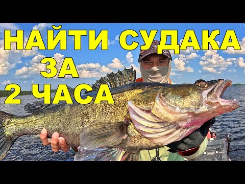 Видео: Рыбалка в Центральной Финляндии: поиск судака на новом озере