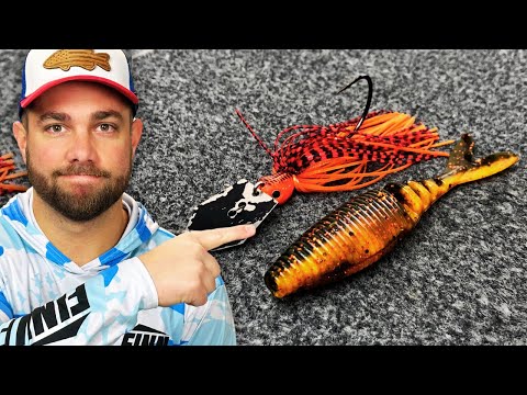 Видео: Почему вас НЕ клюют на CHATTERBAITS
