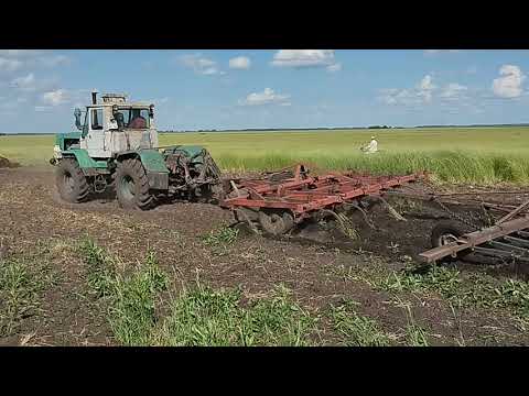 Видео: Пары и сенокос #22 Срочно нужна погода!!!