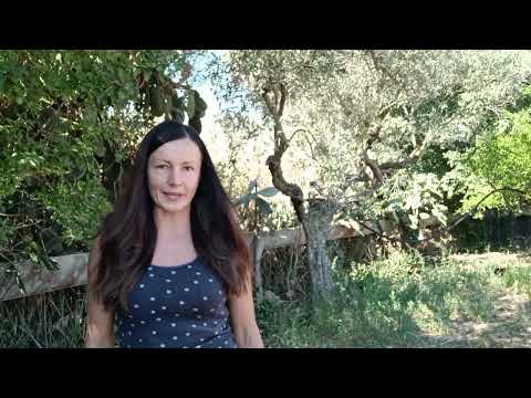 Видео: 49.  Жизнь на хуторе.  Где муж? Ремонт, оливки, огород.