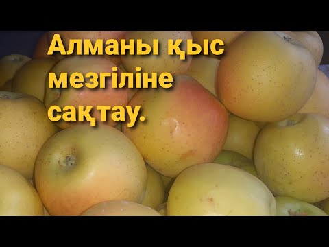 Видео: Алманы қыс мезгіліне сақтау.