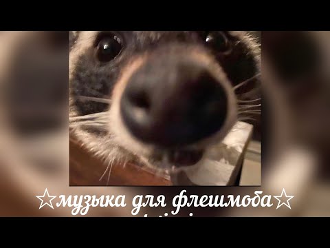 Видео: музыка для флешмоба💗
