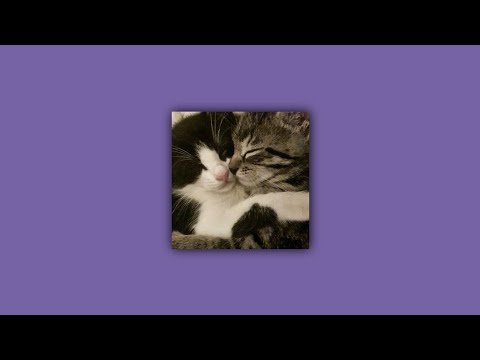 Видео: beliy - только поздно все понял он (speed up)