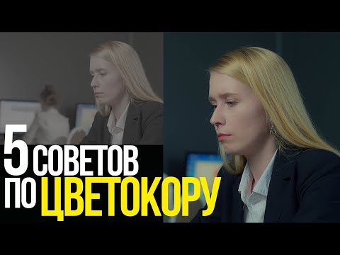 Видео: 5 ПРОСТЫХ советов по цветокоррекции для НАЧИНАЮЩИХ | С HP Envy X360