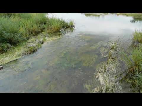 Видео: По дороге в Алек-Завод, Забайкалье.