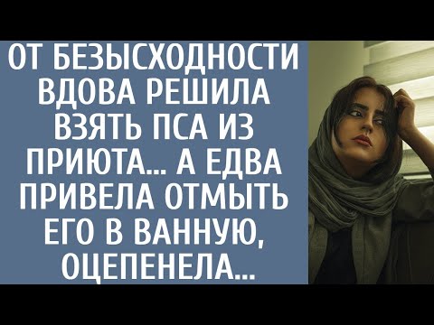 Видео: От безысходности, вдова решила взять пса из приюта… А едва привела отмыть его в ванную, оцепенела…