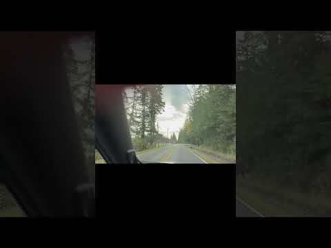 Видео: 4-9 ноября 2025г. Северо-запад штата  Вашингтон 