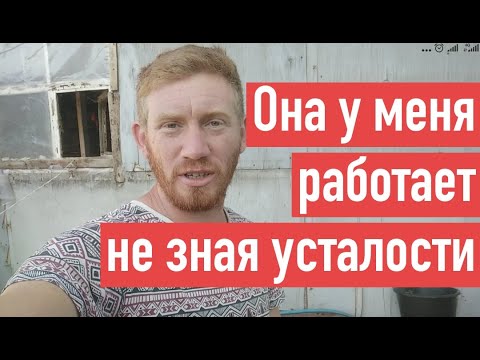 Видео: ПЕРОСЪЕМНАЯ МАШИНА HW-60 ОЩИП ПЕКИНСКОЙ УТКИ