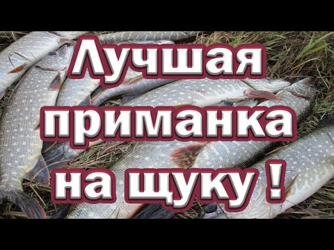 Видео: О НЕЙ ВАМ НЕ РАССКАЖУТ!!! ЛУЧШАЯ ПРИМАНКА НА ЩУКУ ловит до поздней осени!!! Рыбалка на спиннинг!