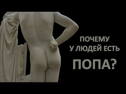 Видео: Почему  у людей есть попа?