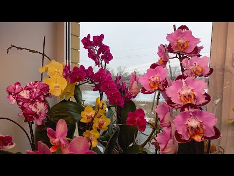 Видео: Ответы на вопросы, часть 2. 12.03.25