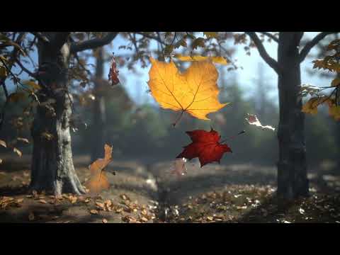 Видео: Песня "Сегодня у ветра игривое настроение". Осень. Ветер.