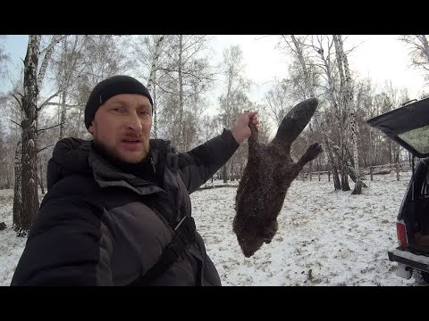Видео: Охота на бобра/Бобры есть но мелковаты