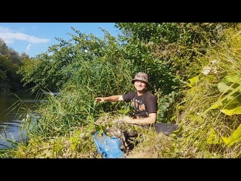 Видео: Рыбалка на ПОПЛАВОК в СОЛНЦЕПЁК. Крупная плотва голавль на Поплавок!