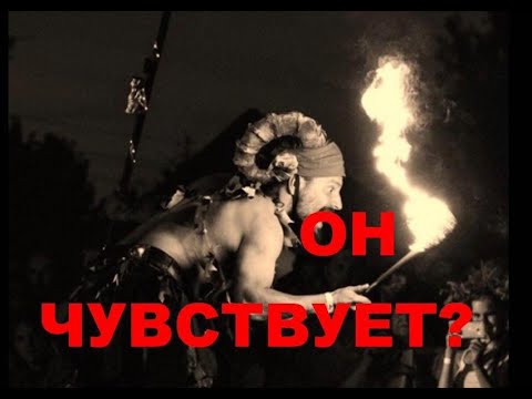 Видео: ЕГО ЧУВСТВА К ВАМ. ЧТО ЕГО ТРЕВОЖИТ И ЧТО ОН ДУМАЕТ О ВАС? ТАРО