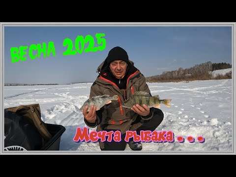 Видео: Рыбалка весна 2025. МЕЧТА РЫБАКА....
