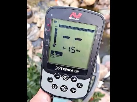 Видео: Minelab X Terra Pro - Тест на денарик