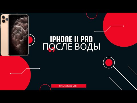 Видео: iphone 11 pro не включается после попадания воды