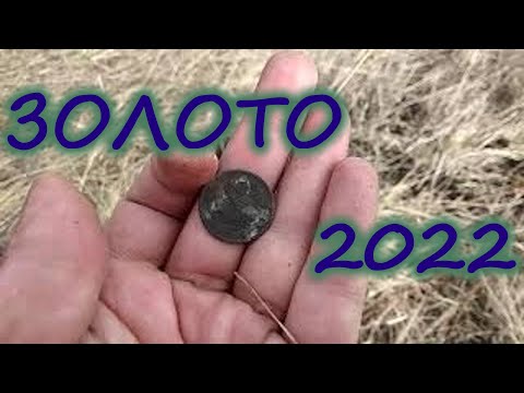 Видео: Золотое кольцо шарахнуло.Открытие сезона 2022.Алтайский коп.