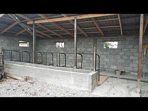 Видео: Заселение !!!