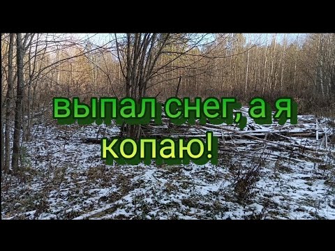 Видео: выпал снег, а я копаю металл с #Nokta makro simplex plus