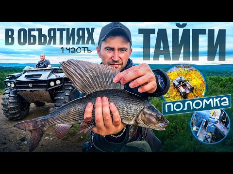 Видео: В ТАЙГУ НА КАРАКАТЕ. ПОЛОМКА В БОЛОТЕ. РЫБАЛКА, БЫТ, ТРОФЕЙ.