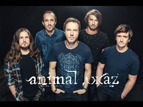 Видео: Animal джаZ, Zero People. История группы.Факты.Мнение.Рассказ 7
